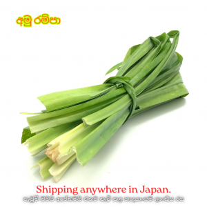 Fresh Pandan Leaves රම්පේ 100g