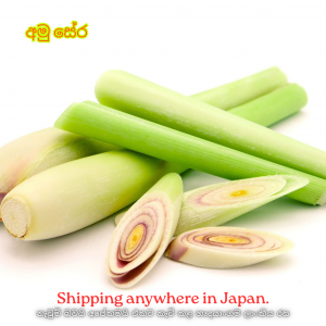 Lemongrass (Fresh) 100g