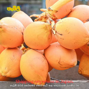 King Coconut – තැඹිලි ගෙඩි 1ක්