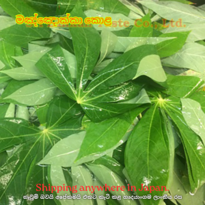 මයියොක්කා කොළ 100g