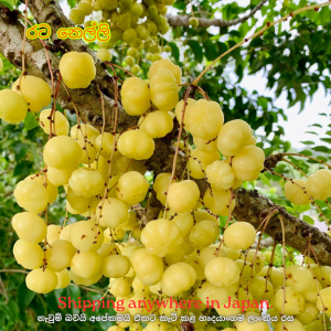 Star Gooseberry රට නෙල්ලි 200g