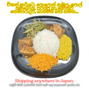 Custom Menu -  Rice & Curry